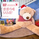 농협양곡창고 앞 | [전북 정읍] 정읍 베이커리 초대형 신상 카페, 샘골농협 양곡창고의 변신, 샘샘카페(SAME2)