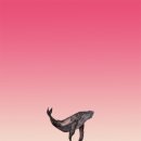 핑크고래 이미지