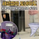 실험교실B | 세르파파 토네이도 테마교실 예약 방법 대상연령 상세정보
