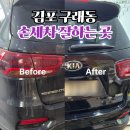 카카오토스팀손세차 | 김포 구래동 손세차 잘하는 곳 오토디테일링