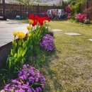 티나펜션 이미지