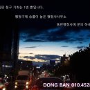 동성로 행정사사무소 이미지