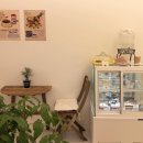 몽땅 포레스트 이미지