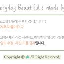 롤로(Rollo) 이미지