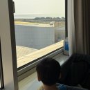 트윈목장 | 가기 좋은 호텔 [파라다이스 시티] 8개월 아기랑 5살 형아랑 다녀온 후기_디럭스 트윈 객실 &amp; 조식포함