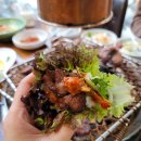 황새울로330번길 | 분당 서현역 점심 맛집 양촌리 분당점 회식 모임 추천