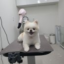 무브멍트 이미지