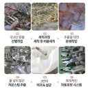 목 통 (2) (옥내1) | 물없이 통으로 갈아만든 도라지배즙으로 우리 아이 목 건강 지키기