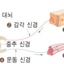 가야대역 이미지
