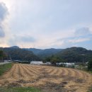 키다리부동산공인중개사무소 이미지