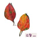 김앤박공인중개사사무소 이미지