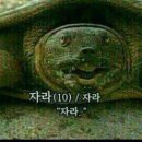 오니비 이미지