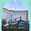 모나코엔틱갤러리 | 미국 라스베가스 호텔 추천 파크 MGM 엠지엠 스트립 가성비 숙소