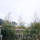 담양 조아당 한옥스테이 숙소 추천 민박 가족펜션 후기