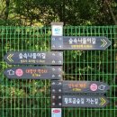 성주사 회귀형 숲길 이미지