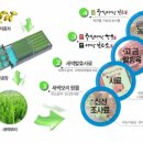 농업회사법인(주)주성