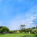 골든힐폼 이미지