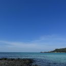 조마루뼈다귀용담점 이미지