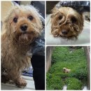 신암면041 이미지