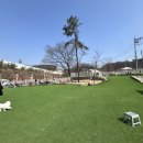 우리애견 | 경기 화성 애견카페 댕코리아 , 우리랑다녀온후기 ෆ ෆ