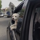 은모래민박 이미지