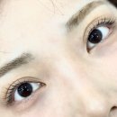 금호동 속눈썹펌 잘하는 광주 보니스튜디오 노글루 시그니처 펌 후기