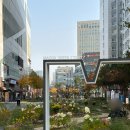 오늘도 장어 | [마곡 맛집] 프라이빗하게 즐긴 장어코스 오마카세, 마담풍천 방문기 💚