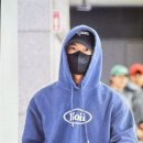 코이(koii) 이미지