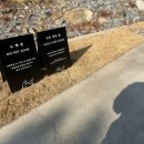 숲속 게르 하우스 | 양산 숲속 브런치 차콜하우스 방문후기