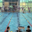 고창군 청소년수련관 실내수영장 이미지