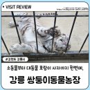 쌍둥농장 이미지