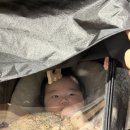 야시공쥬 | [서울 성북구 강북구 식당] 길음역 소갈비 돼지갈비 고기집 가족모임 추천_갈비명가이상 돈암본관