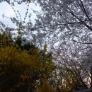 남산근린공원 테니스장 이미지