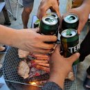 형제조류 이미지