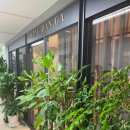 여의도상한가의원 | 여의도 상한가의원 신뢰가 갔어요