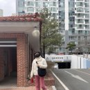 엠디에스오케이유통롯데대구 | 퇴사후 일상#2 | 씰리침대, 시몬스침대, 자라홈, 롯데월드몰, COS