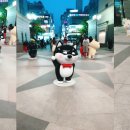 견들의 밥상 이미지