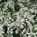 서로지을 티스토리