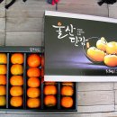 단감