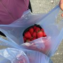 수월산방 이미지