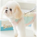 나들스토어 이미지