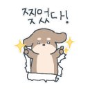 멍줍 강아지 산책 유치원 이미지