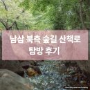 남산길 | 남산 북측 숲길 산책로 후기｜명동역에서 오르는 20분 숲속 계단길
