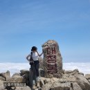 속초시민 한의원 | 22.06 한달 일기