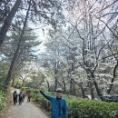 꽃길을 걸었어요~남산역출발ㆍ연꽃소류지ㆍ홍법사 이미지
