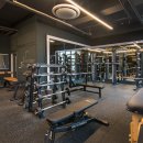 베러덴 휘트니스 이미지