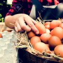 농업회사법인(주)계림농장