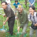 나무를 심는 사람들 이미지