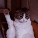 마실커피옥곡점 이미지