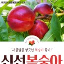 법인농부로산다